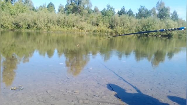 Челлендж кто меньше поймает ест чеснок . рыбалка с друзьями. Ловля рыбы на червя. смотреть онлайн