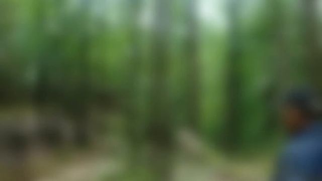 Карпаты горы смотреть онлайн