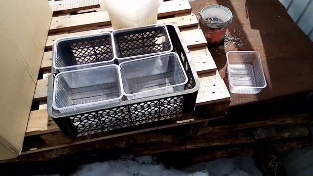 Контейнеры для Клубники смотреть онлайн
