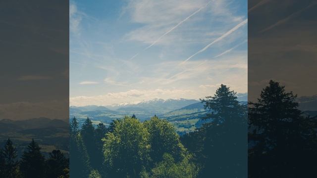 time to escape смотреть онлайн