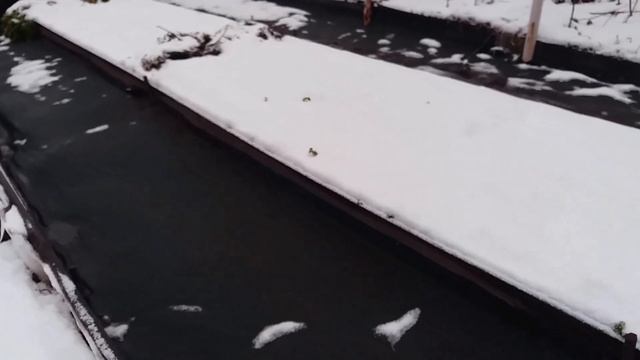 Междурядья без сорняков. смотреть онлайн