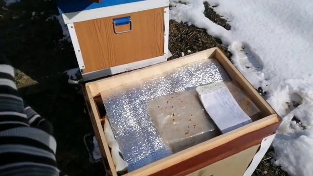 Обзор и год службы ульев из эппс. смотреть онлайн