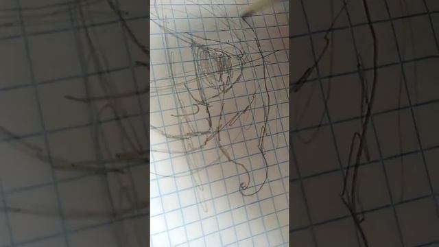 Мини видео урок как рисовать пони смотреть онлайн