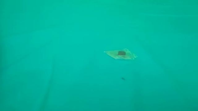 Один из способов временно, оперативно заделать дыру в каркасном бассейне или его мембране смотреть онлайн