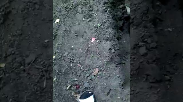 Как найти червей смотреть онлайн