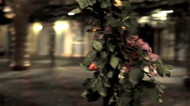 Бэкстейдж с фотосессии для Melon Rich смотреть онлайн