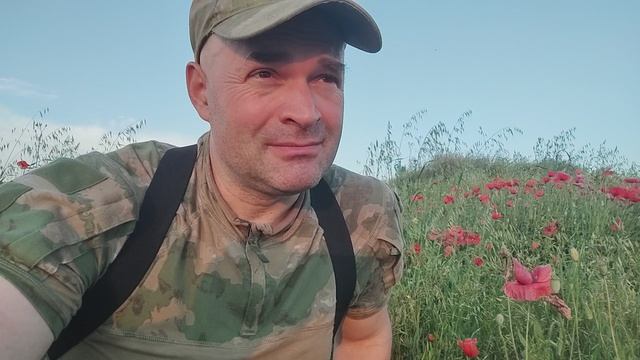 шутки Мишутки смотреть онлайн