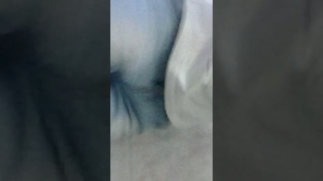Жопа жирная))) смотреть онлайн