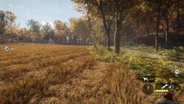 The Hunter Call of the Wild Game Play 4K RX 6700 XT! смотреть онлайн