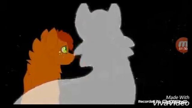 Коты воители Белка и Ежевика