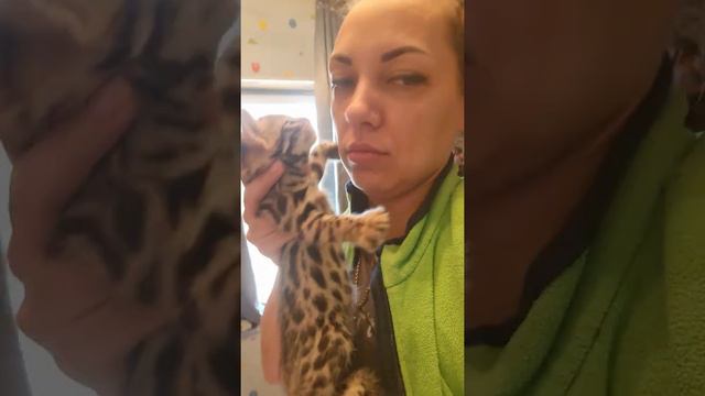 Мой сладкий котик, люблю Ф1 смотреть онлайн
