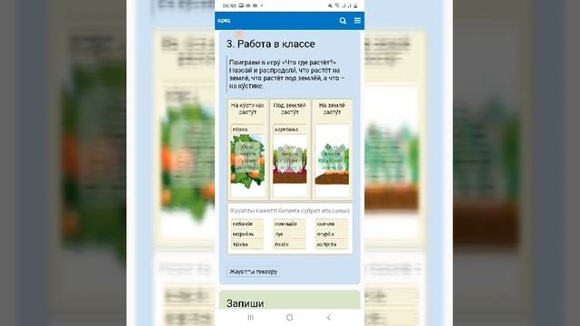 Овощи, которые растут над и под землёй 2 класс смотреть онлайн