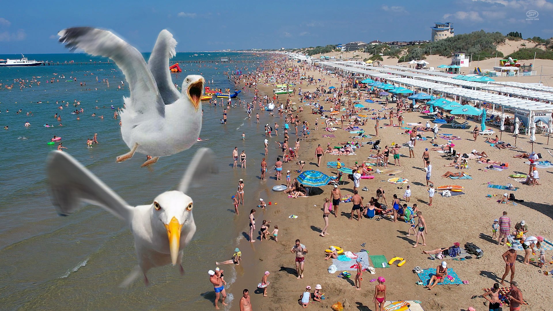 АНАПА. Пролет над пляжем в Джемете смотреть онлайн