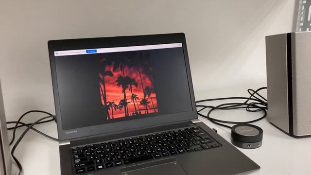 Bose companion 20 - LH: 0914702285 смотреть онлайн