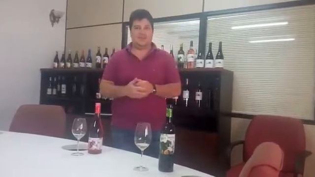 TASTING VERDEJO AND FRIZZANTE ROSE SYRAH смотреть онлайн