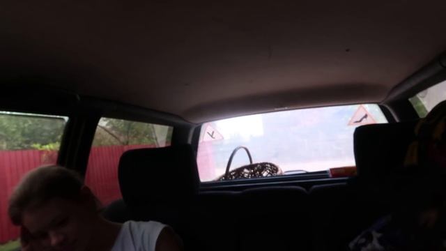 VLOG Птенцы ЛАСТОЧКИ прям у двери . Вернулись домой смотреть онлайн