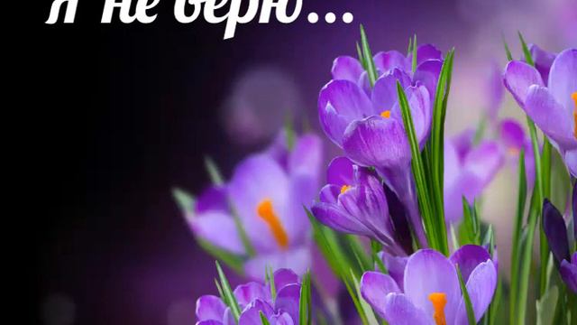 Я не верю, поверь мне, не верю - христианская песня. смотреть онлайн