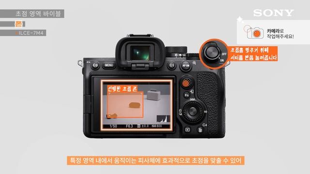 [강의] 딩동 ILCE-7M4 초점 영역 바이블이 도착했습니다 смотреть онлайн