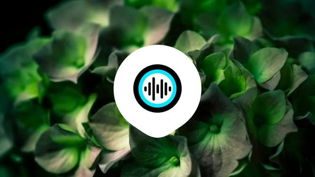 ZHU JETTHE DOBERMAN Bass BOOST смотреть онлайн