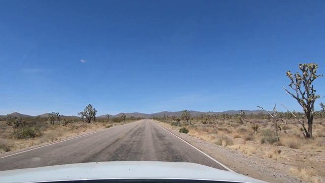Day 6 Route 66 Arizona 😀 Kingman AZ to Barstow CA with some Joshua Trees in the middle #route66 смотреть онлайн