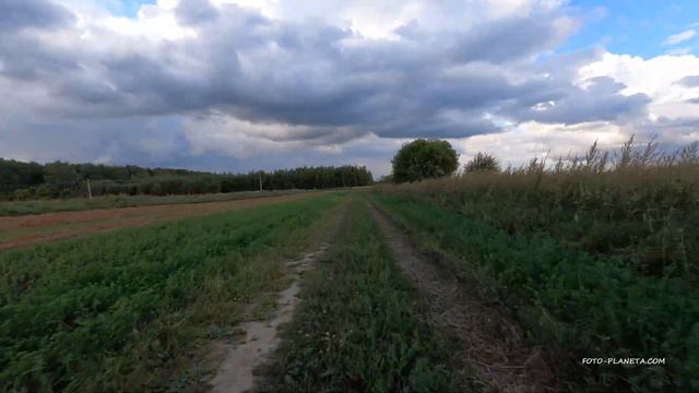Деревня отделения совхоза 9-го Профсъезда - Харино. смотреть онлайн