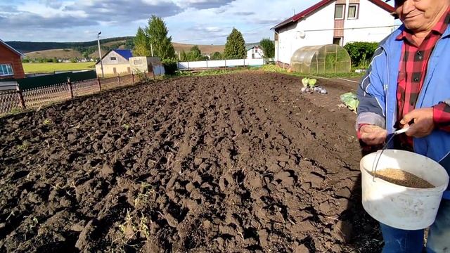 Повышаем плодородие почвы под КАРТОФЕЛЬ и защиту от СОРНЯКОВ. смотреть онлайн