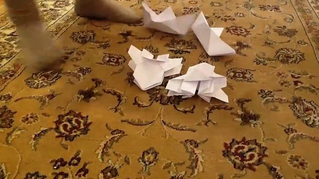 Демонстрация оригами( мой дружбан КИРИЛЛ))) смотреть онлайн