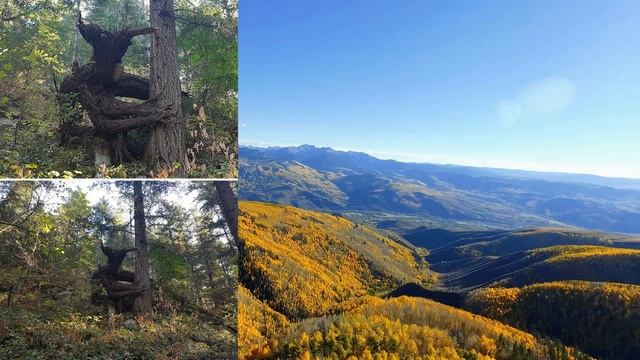 Навье Время (Богач, Радогощ, Деды, Велесова Ночь, "Хэллоуин") смотреть онлайн