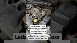 Lada Largus Cross, диагностика, чистка форсунок и прошивка евро 2 с добавлением мощности #ларгус