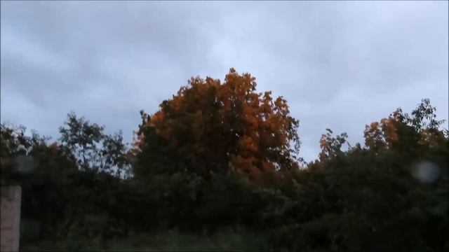 Дерево, солнце и ветер - 9 iyun 2021 смотреть онлайн