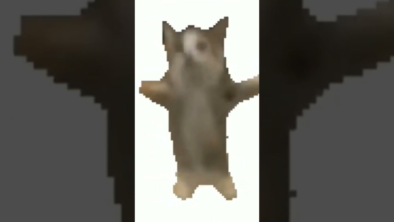 22 марта 2023 г. смотреть онлайн