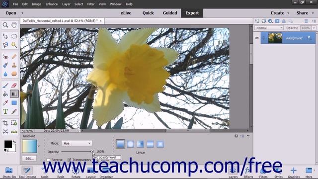 Photoshop Elements 15 Tutorial Using the Gradient Tool Adobe Training смотреть онлайн