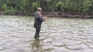 Ловля Гольца в Приморье река Кема  salmon fishing