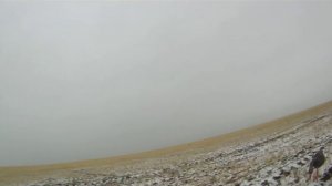 Охота на гуся 2014. Светлинский район Оренбургской области. Goose hunting 2014