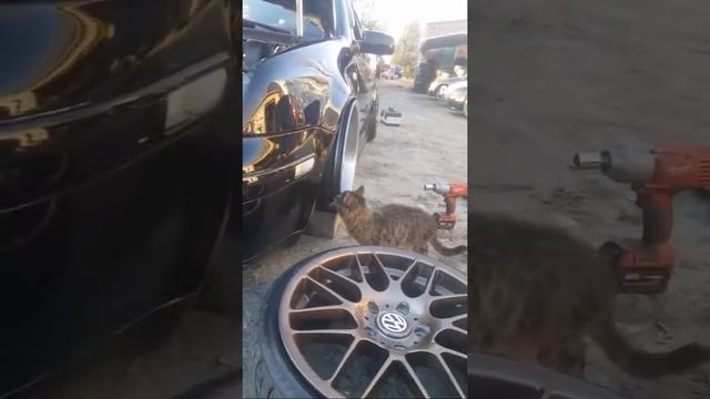 Jetta Mk4 Bagged смотреть онлайн