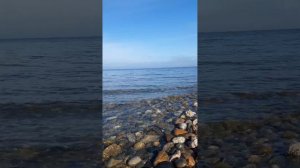 🌟Поздравляю брат тебя с 23 февраля🌟#music#luchshii#love#звукиморя#андрейкирьянов#море#зима#шансон