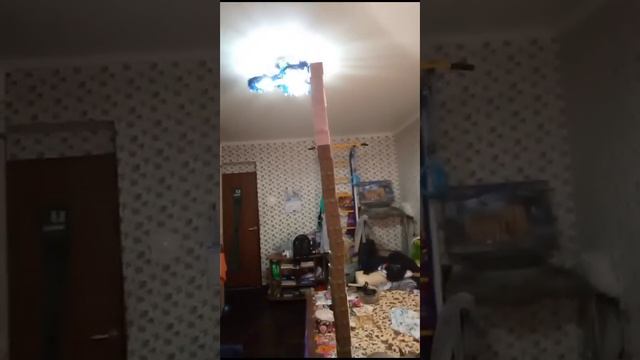 Это реально рекорд Гинесса!!! 😝😝😝 Самая большая башня из магнитных кубиков майнкрафт!!! 😏 смотреть онлайн