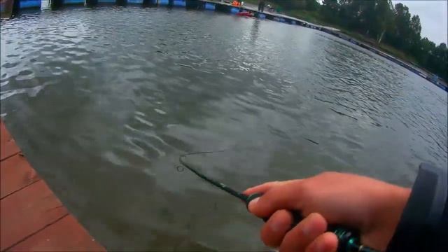 Ловля форели на спиннинг Zetrix Forra. И блёсна компании Mukai приносят результат. смотреть онлайн