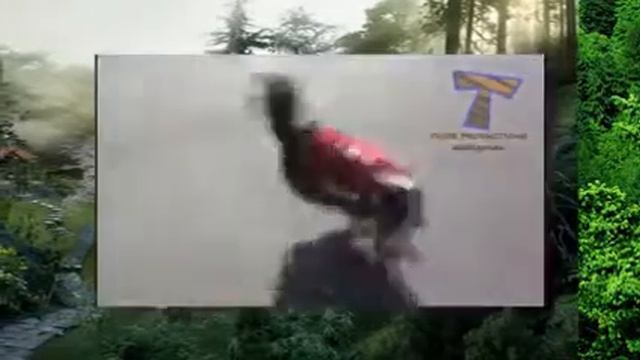Удивительные трюки животных смотреть онлайн