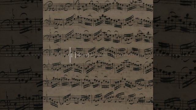 J.S. Bach Prélude Cello Suite Nr. 2 BWV 1008 arr. for recorder by Simon Borutzki смотреть онлайн