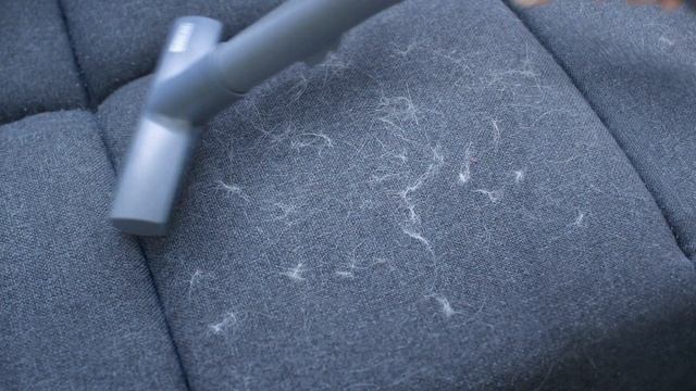 THOMAS AQUA+ PET & FAMILY - The Vacuum Cleaner For Pet Lovers