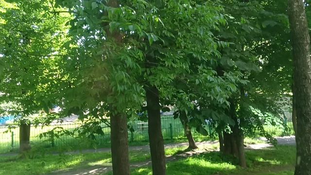 Наша однокомнатная квартира в Беларуссии г. Могилев смотреть онлайн