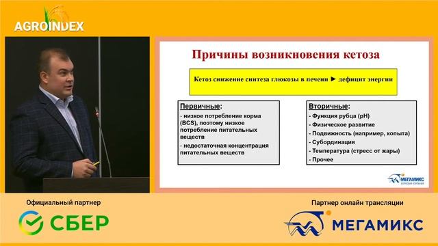 МЕГАМИКС - AGROINDEX: Геннадий Селиванов - Распространённые ошибки, приводящие к кетозу у коров смотреть онлайн