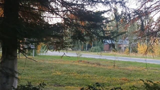 ТЕПЛОЙ ОСЕНИ / ДОБРОГО ВЕЧЕРА смотреть онлайн