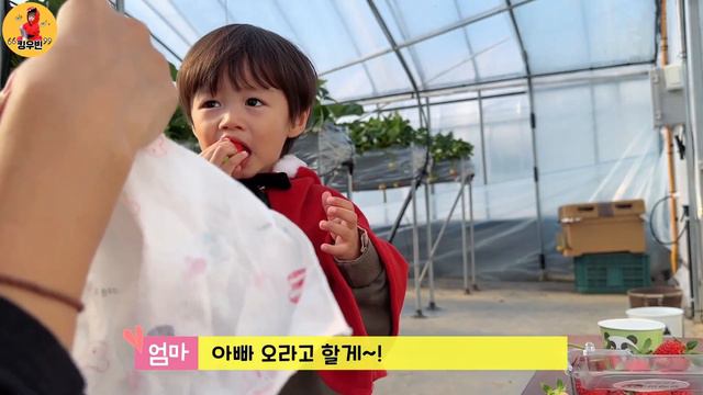 [SUB] 딸기를 너무 좋아하는 28개월 아기의 딸기 농장 체험!! (귀여움 주의) смотреть онлайн