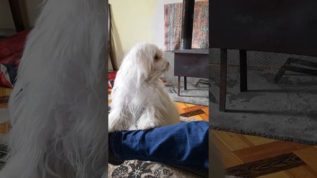 3 февраля 2019 г.