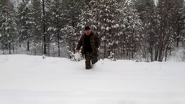 Охота в Республики Коми смотреть онлайн