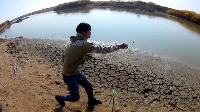 Ловля судака, налима и окуня на живца и нарезку. Нура. Уялы. смотреть онлайн