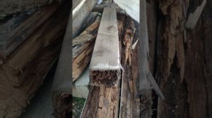 Обработка дерева отработкой ч.2