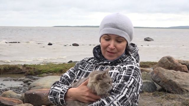 «Карелия до наших дней» 20.12.19 смотреть онлайн